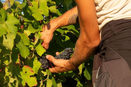 5. Découvrez nos saveurs et savoir-faire !